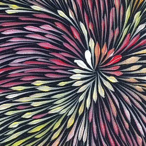 Wild Flowers by Sacha Long Petyarre by Sacha Long Petyarre, 30cm x 30cm. Australian Aboriginal Art.