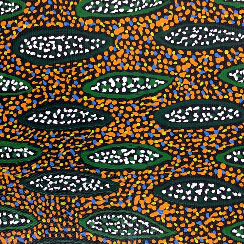 Ilyarnaty by Michelle Lion Kngwarreye by Michelle Lion Kngwarrey, 30cm x 30cm. Australian Aboriginal Art.