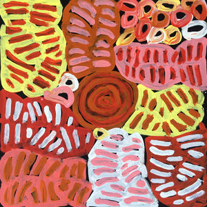 My Mother's Country by Betty Mbitjana. Australian Aboriginal Art.