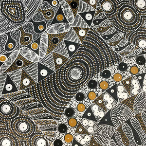Awelye for Alpar Seed, Bush Plum & Mulga Seed by Alvira Bird by Alvira Bird Mpetyane, 30cm x 30cm. Australian Aboriginal Art.