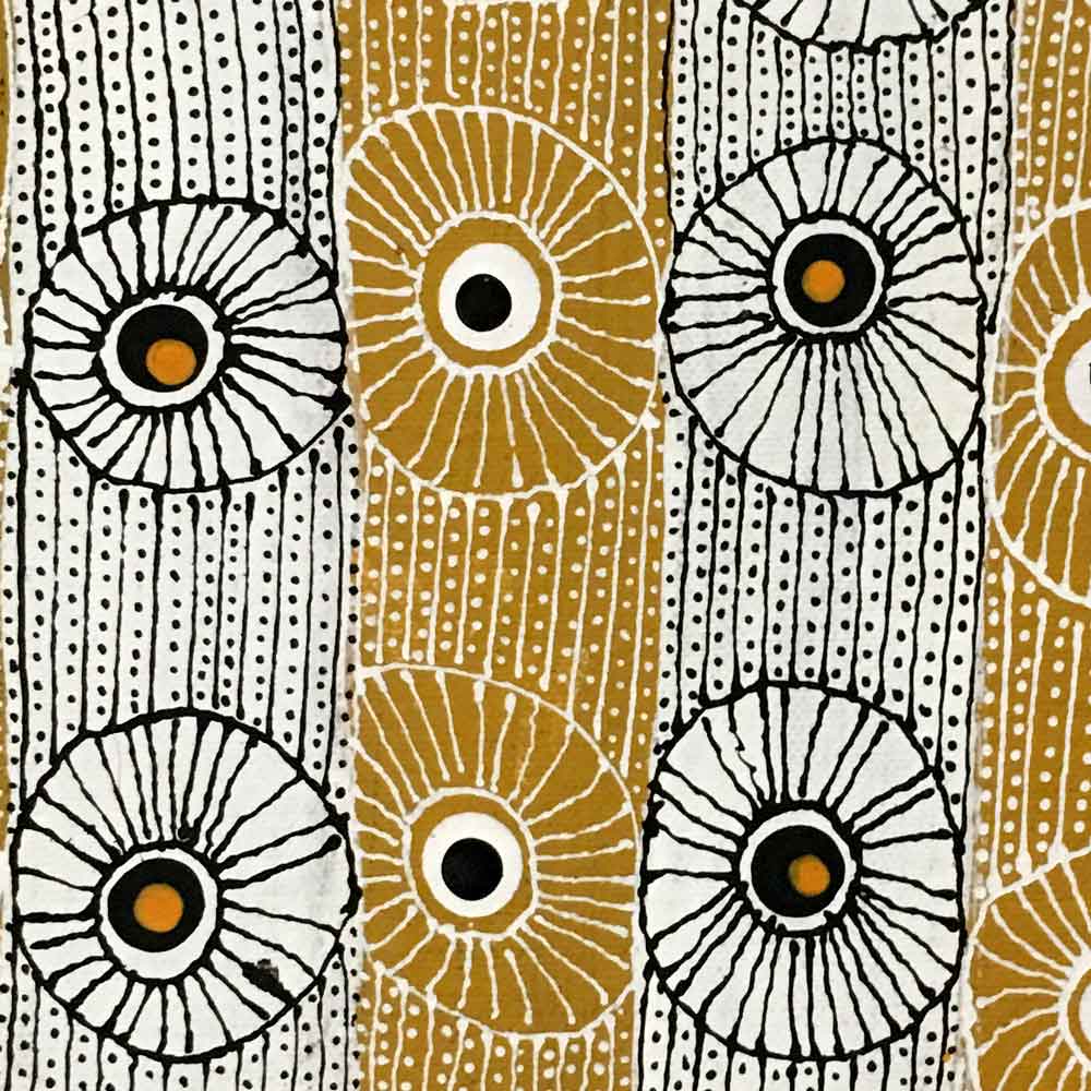Bush Plum at Aremela Rockhole by June Bird Ngale by June Bird Ngale, 30cm x 30cm. Australian Aboriginal Art.