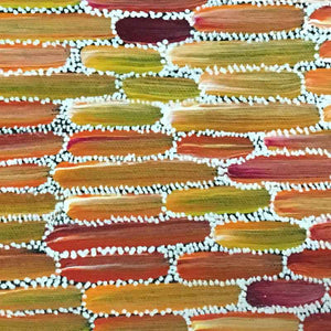 Anaty (Desert Yam) Story by Shakira Petrick by Shakira Petrick, 30cm x 30cm. Australian Aboriginal Art.