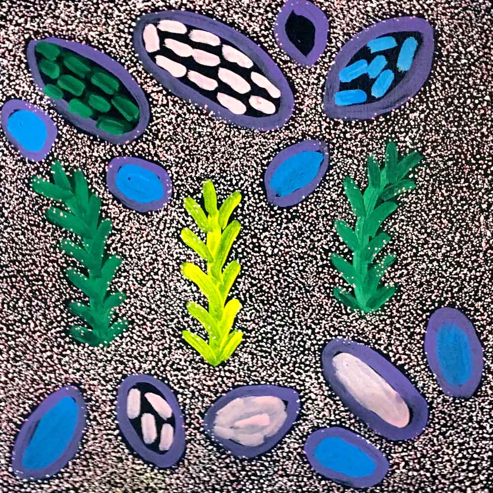 Soakage and Bush Tucker by Rosie Pwerle by Rosie Pwerle, 30cm x 30cm. Australian Aboriginal Art.