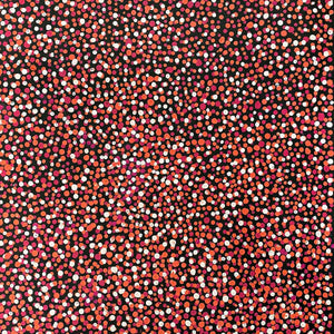 Anwekety (Conkerberry) by Kate Petyarre | Stretched (SOLD)