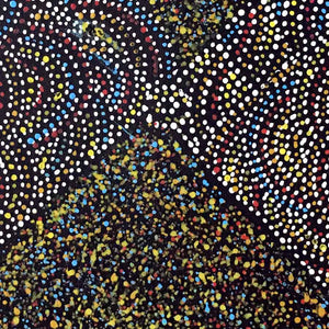 Bush Turkey Story by Cowboy Loy by Cowboy Loy Pwerle, 30cm x 30cm. Australian Aboriginal Art.