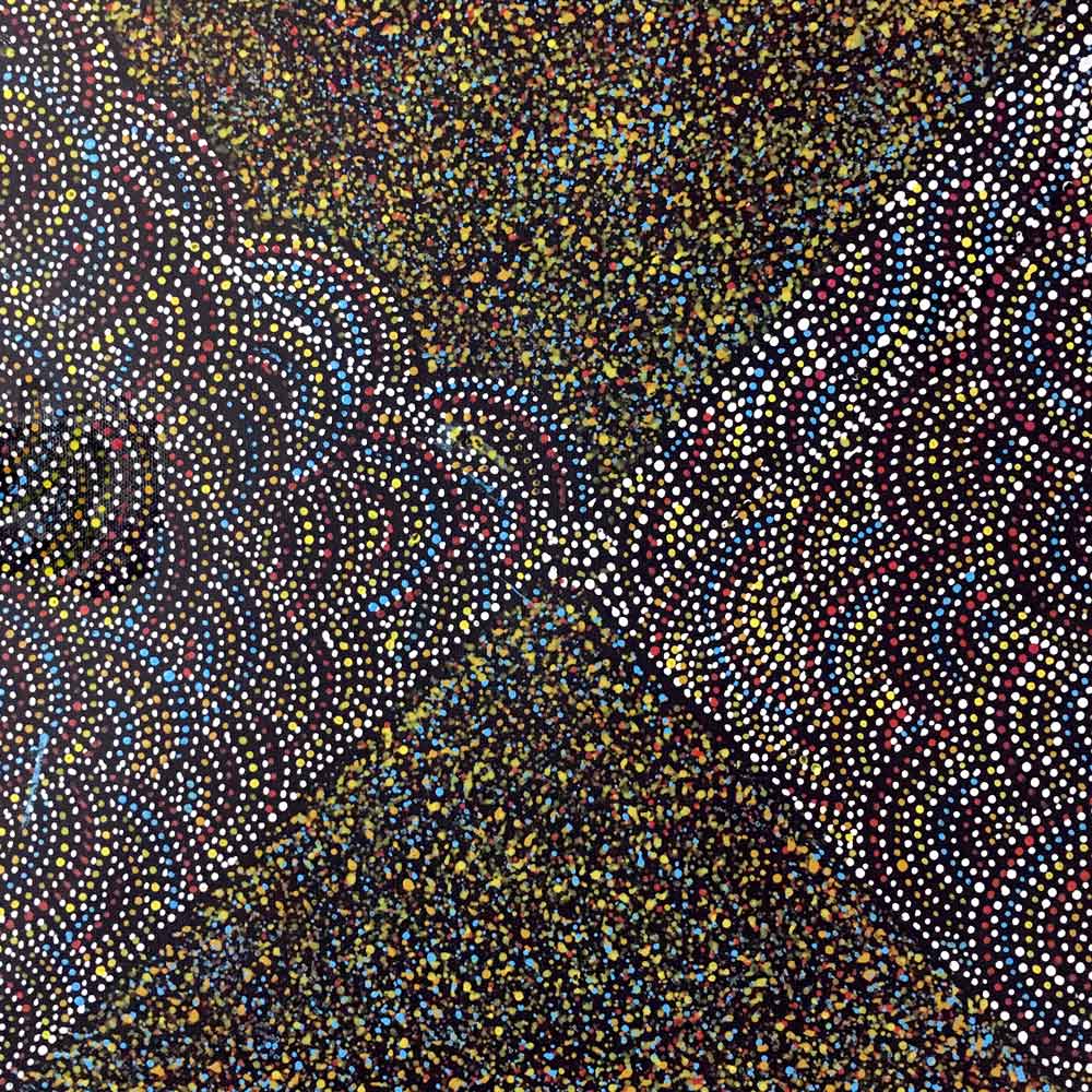 Bush Turkey Story by Cowboy Loy by Cowboy Loy Pwerle, 30cm x 30cm. Australian Aboriginal Art.