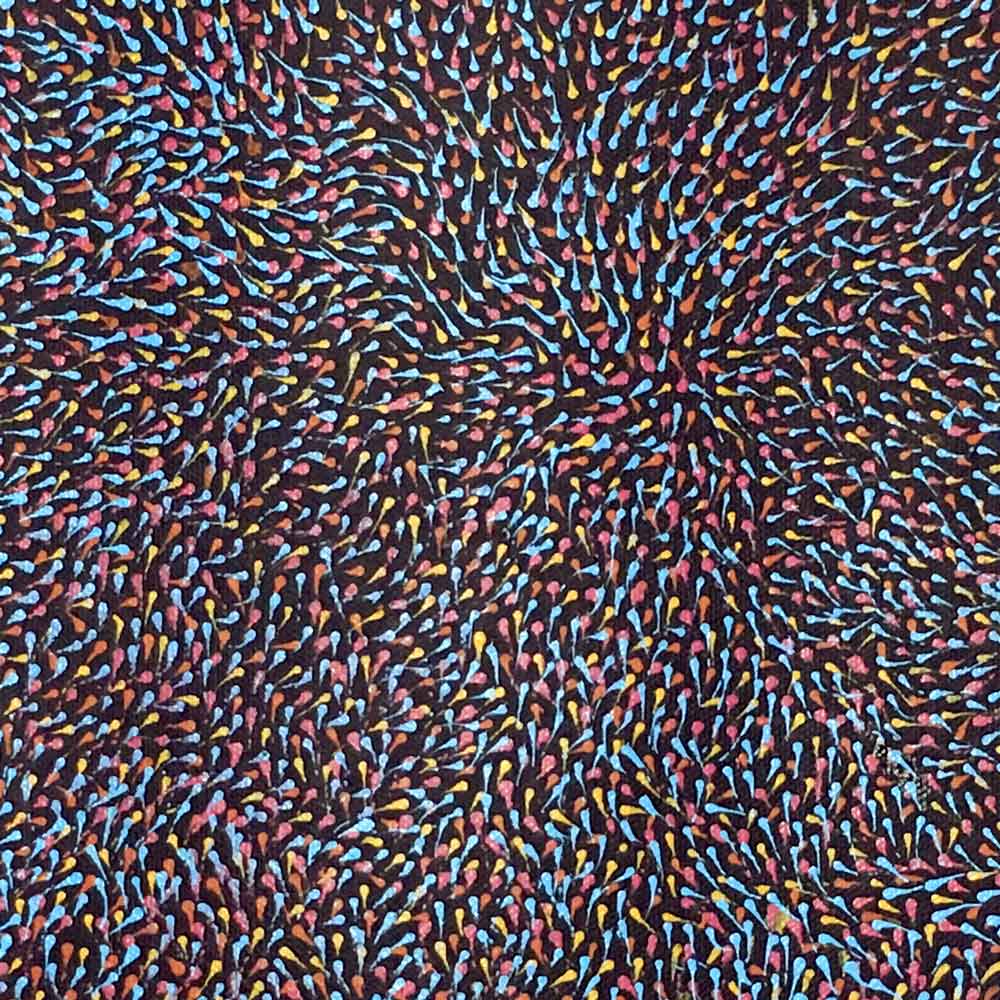 Pencil Yam Flower by Elizabeth Loy by Elizabeth Loy Kngwarreye, 30cm x 30cm. Australian Aboriginal Art.