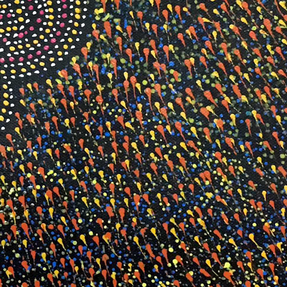 Pencil Yam Flower by Elizabeth Loy by Elizabeth Loy Kngwarreye, 30cm x 30cm. Australian Aboriginal Art.