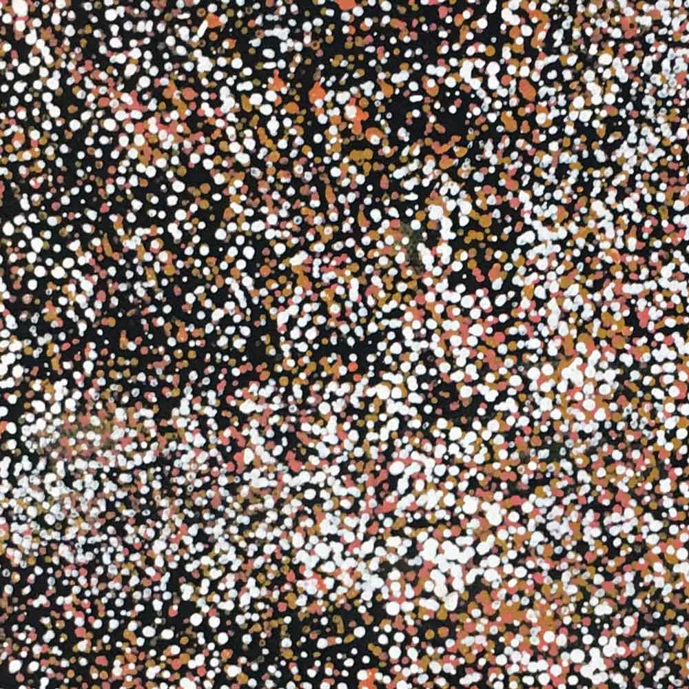 Bush Medicine by Patsy Long Kemarre by Patsy Long Kemarre, 30cm x 30cm. Australian Aboriginal Art.