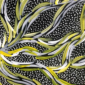 Bush Seed by Pansy McLeod by Pansy McLeod, 30cm x 30cm. Australian Aboriginal Art.
