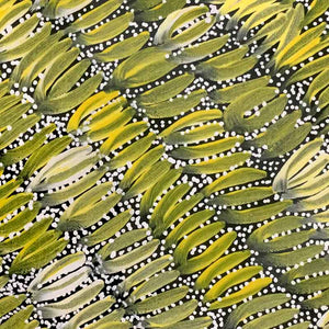 Bush Seed by Pansy McLeod by Pansy McLeod, 30cm x 30cm. Australian Aboriginal Art.