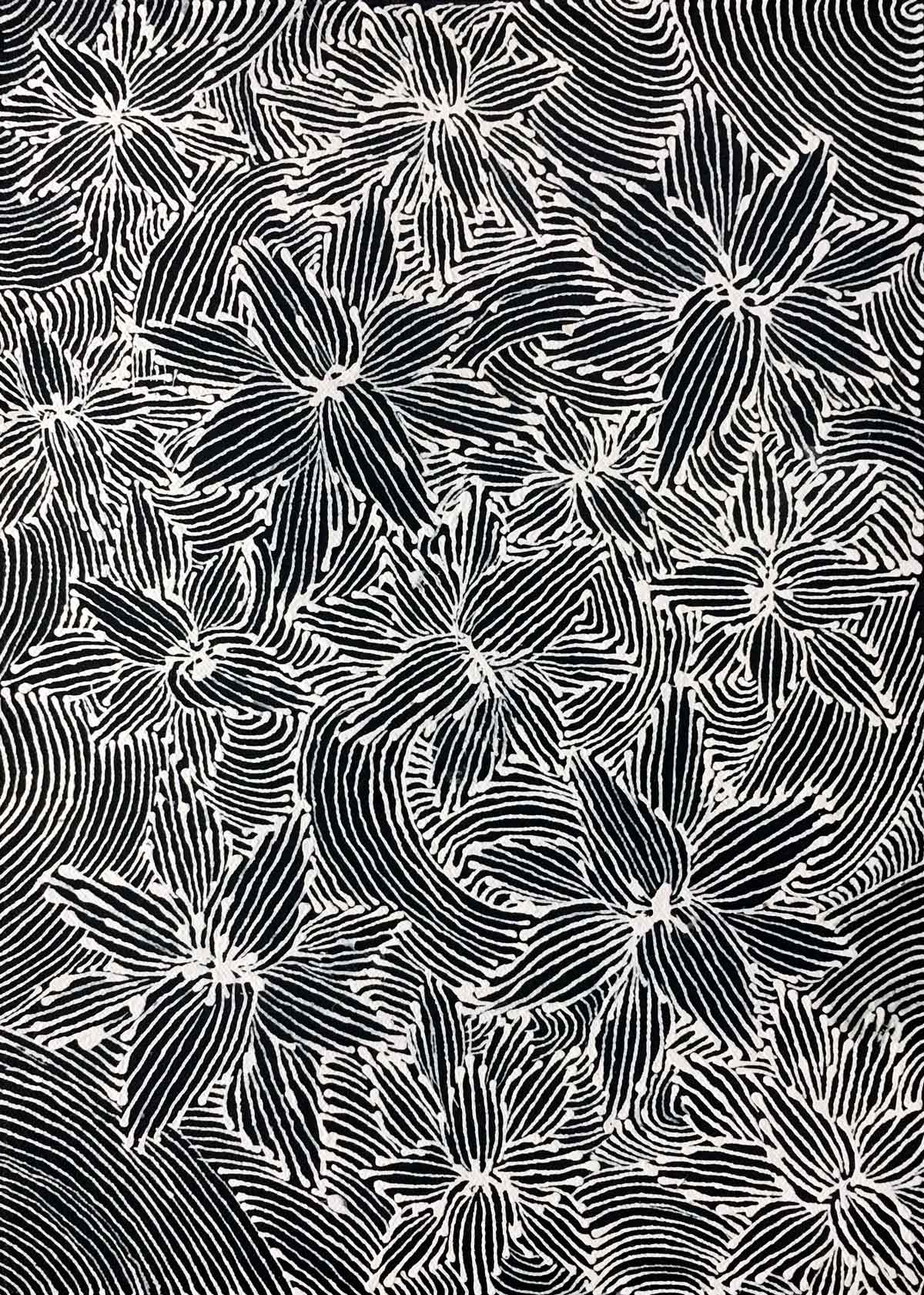 Bush Medicine (Artepwel) by Topsy Jones Pwerle (SOLD)