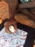 Bush Medicine (Apeng) by Katie Kemarre (SOLD)