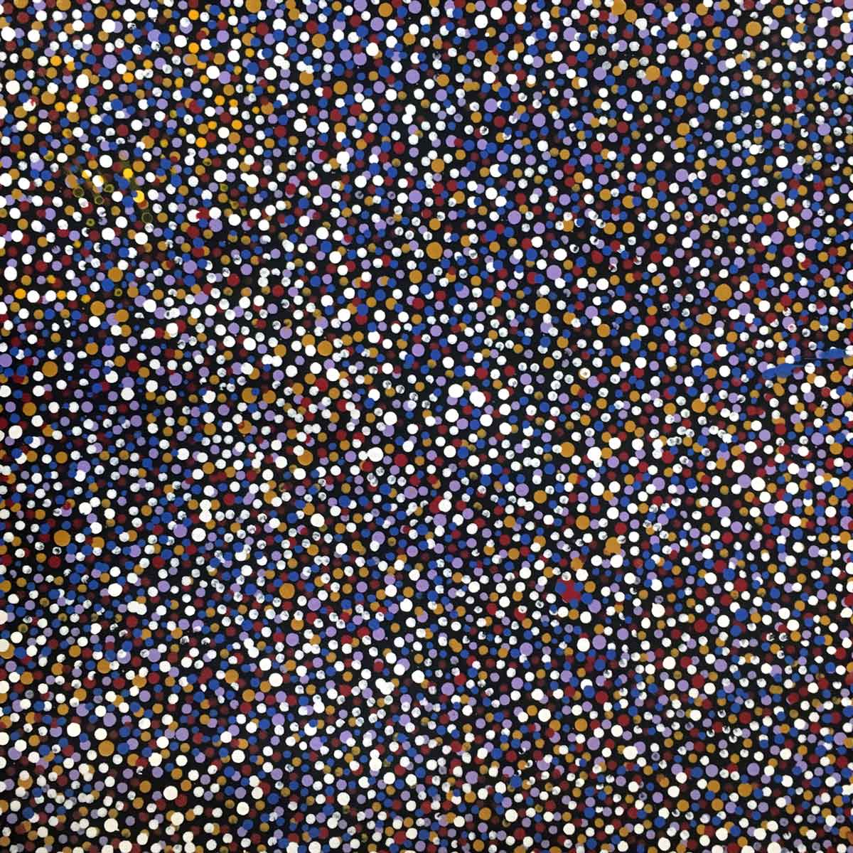 Pencil Yam Seed by Josie Kunoth Petyarre (SOLD)