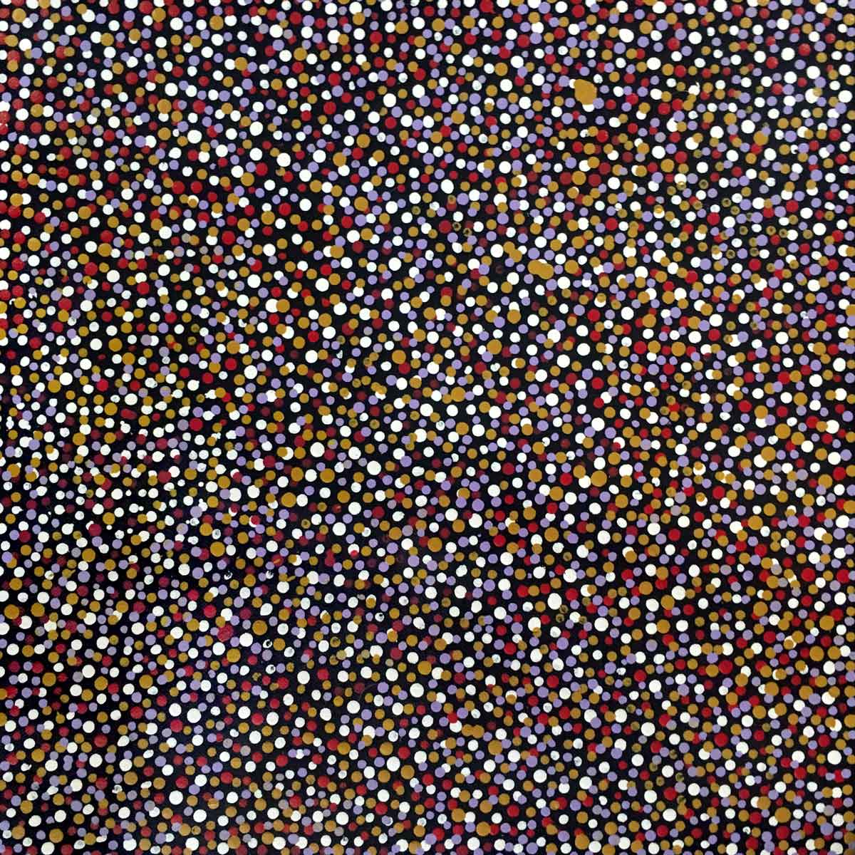 Pencil Yam Seed by Josie Kunoth Petyarre (SOLD)