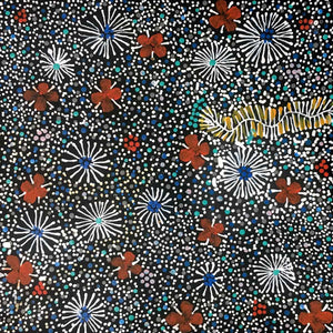 Centipede Story by Jilly Jones Petyarr. Australian Aboriginal Art.