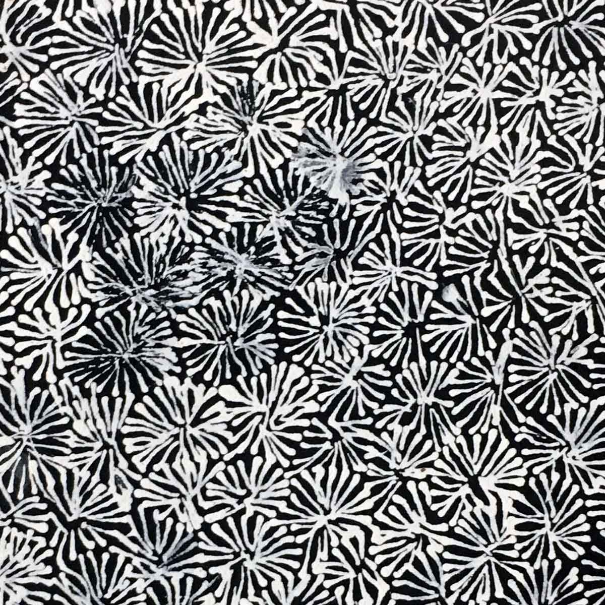 Alhepalh Flower by Audrey Morton Kngwarreye (SOLD)