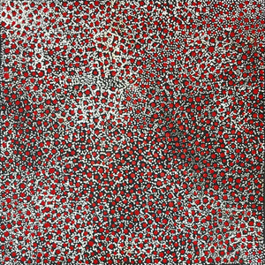 Anwekety (Conkerberry) by Elizabeth Mpetyane. Australian Aboriginal Art.