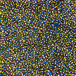 Anwekety (Conkerberry) by Kate Petyarre (SOLD)