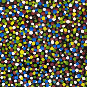 Anwekety (Conkerberry) by Kate Petyarre (SOLD)