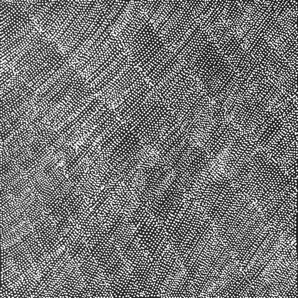Anemangkerr by Lizzie Moss Pwerle. Australian Aboriginal Art.