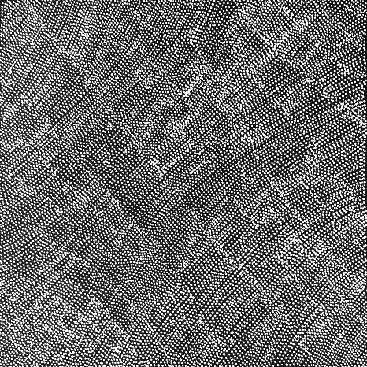 Anemangkerr by Lizzie Moss Pwerle. Australian Aboriginal Art.