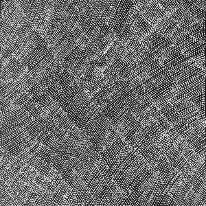 Anemangkerr by Lizzie Moss Pwerle. Australian Aboriginal Art.