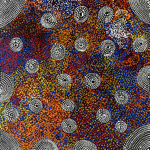 Wild Orange by Janie Petyarre (SOLD)