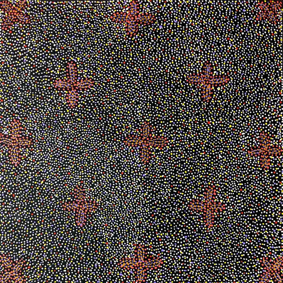 Alhepalh by Lily Lion Kngwarrey. Australian Aboriginal Art.