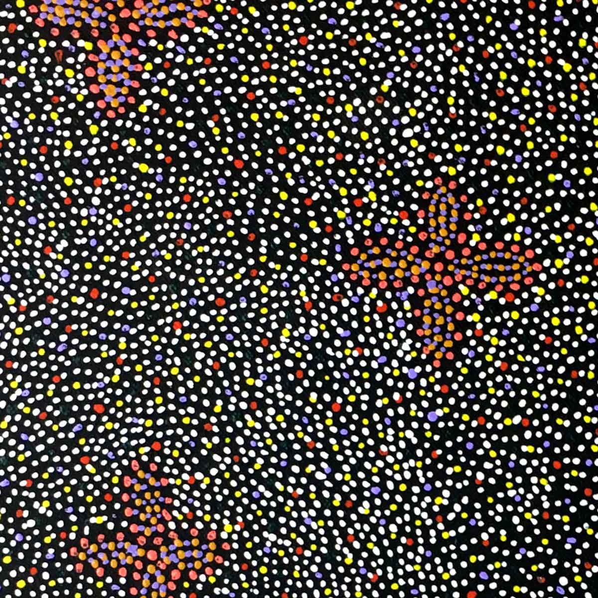 Alhepalh by Lily Lion Kngwarrey. Australian Aboriginal Art.