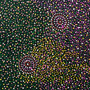 Nteny Ngkwarl by Annie Hunter Petyarre (SOLD)