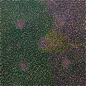 Nteny Ngkwarl by Annie Hunter Petyarre (SOLD)