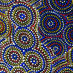 Nteny Ngkwarl by Annie Hunter Petyarre (SOLD)