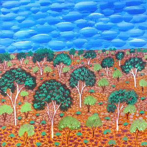My Country by Selina Teece, Australian Aboriginal Art 