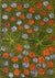 Ilyarnayt Flower von Hazel Morton (VERKAUFT)