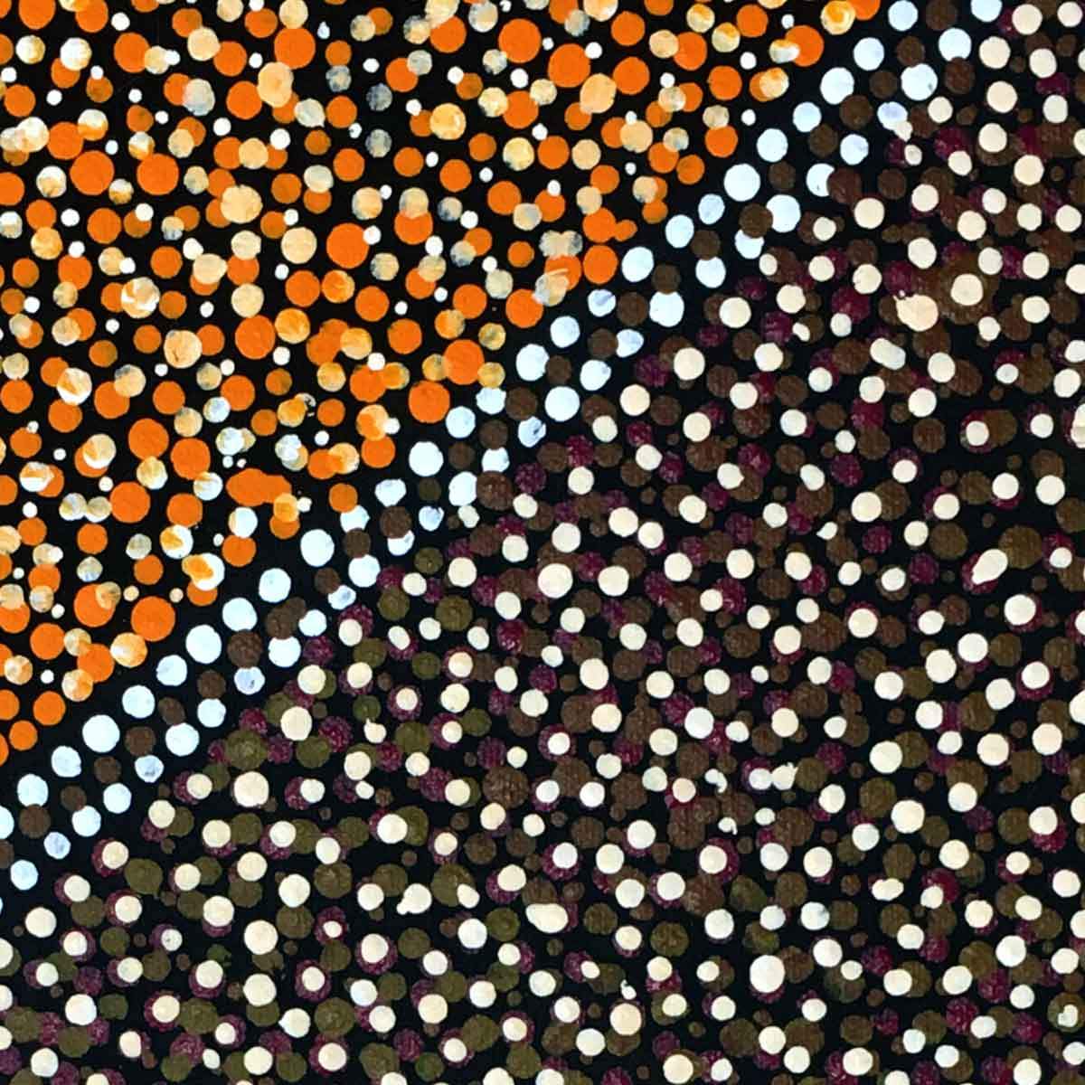 Arwengerrp (Bush Turkey) by Rosie Pwerle (SOLD)