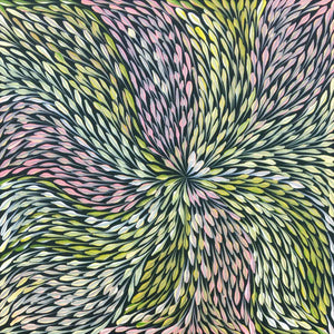 Wild Flowers by Sacha Long Petyarre (SOLD)