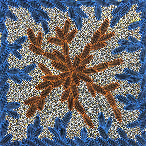 Ntyeny Ngkwarl by Loretta Jones Petyarre. Australian Aboriginal Art.