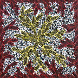 Ntyeny Ngkwarl by Loretta Jones Petyarre. Australian Aboriginal Art.