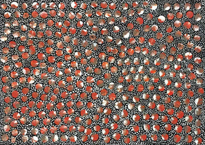 Pencil Yam Seed by Eileen Bird Nungarai. Australian Aboriginal Art.