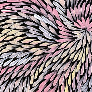 Bleistift Yamswurzelblume von Dulcie Pwerle Long | Gestreckt (VERKAUFT)