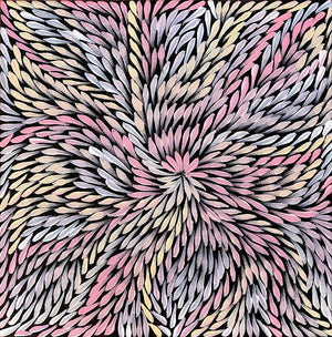 Bleistift Yamswurzelblume von Dulcie Pwerle Long | Gestreckt (VERKAUFT)