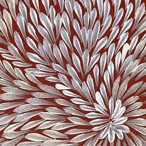 Bleistift Yamswurzelblume von Dulcie Pwerle Long | Gestreckt (VERKAUFT)