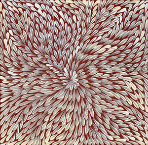 Bleistift Yamswurzelblume von Dulcie Pwerle Long | Gestreckt (VERKAUFT)