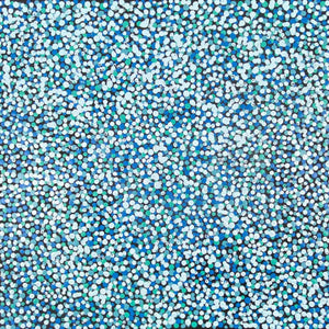 Anwekety (Conkerberry) by Kate Petyarre | Stretched. Australian Aboriginal Art.