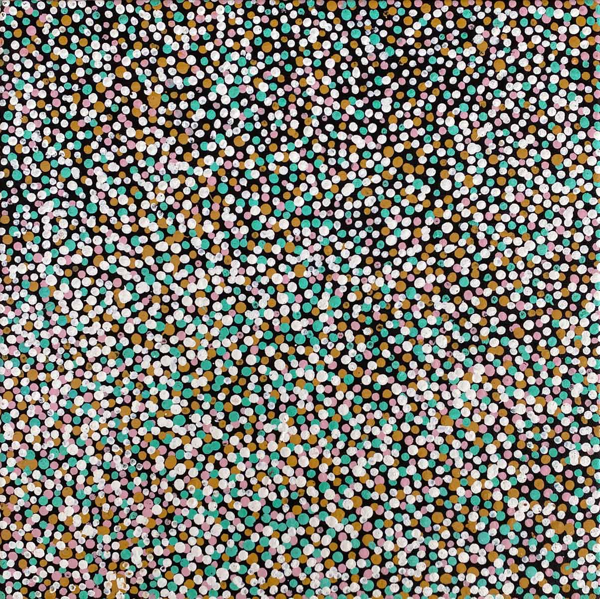 Pencil Yam Seed by Bessie Petyarre | Stretched. Australian Aboriginal Art.