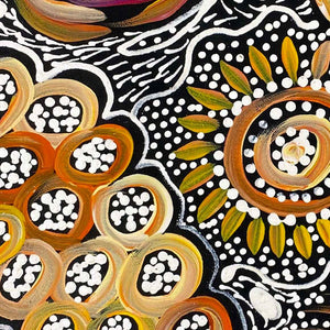 Pencil Yam Flower by Janet Golder Kngwarreye (SOLD)