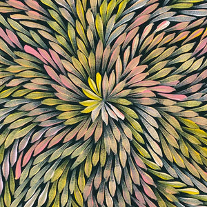 Bleistift Yamswurzelblume von Dulcie Pwerle Long | Gestreckt (VERKAUFT)