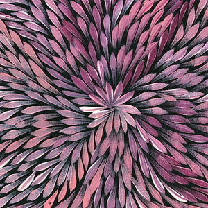 Bleistift Yamswurzelblume von Dulcie Pwerle Long | Gestreckt (VERKAUFT)