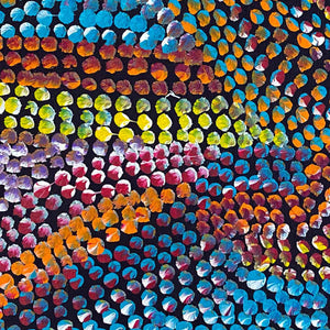 Kame (Pencil Yam Seed) by Judy Purvis Kngwarreye (SOLD)